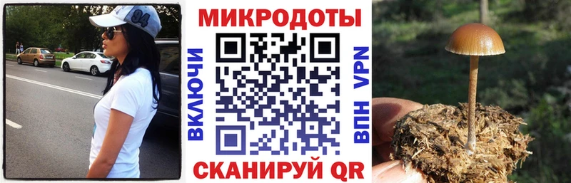 Галлюциногенные грибы мицелий  Среднеколымск 